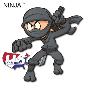 Ninja 5K, & 10K at Roof Park, New Cumberland, PA (31) 30 logo